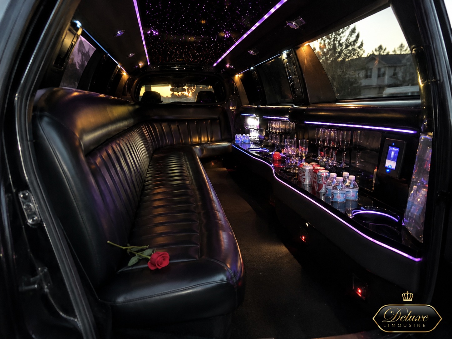 Rose Interior